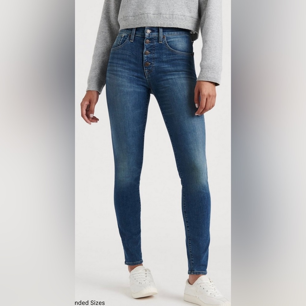 Lucky Brand High Rise Skinny Bridgette Jeans Size 10